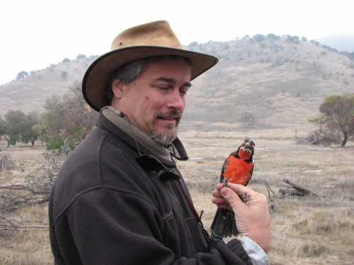 L. Michael Romero ’88 in the wild holding an orange and black bird perched on his hand